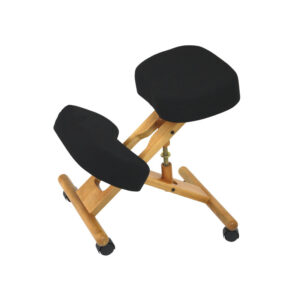 Ergonomische zetel Accent Identités
