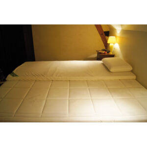 Oplegmatras